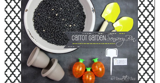 Carrot Garden Sensory Bin #sensory #carrot # spring http://www.mamamiss.com ©2013