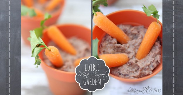 Edible Mini Carrot Garden #healthysnack #kidfood #carrots #blackbeans http://www.mamamiss.com ©2013