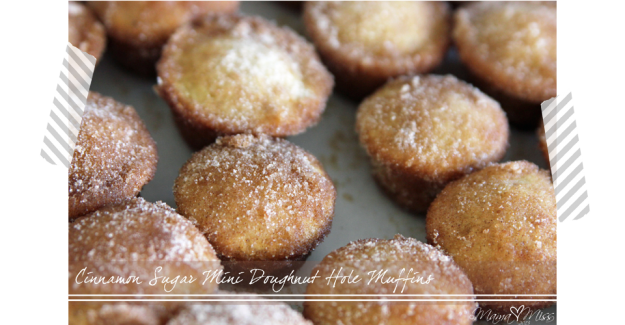 Cinnamon Sugar Mini Doughnut Hole Muffins @mamamissblog #glutenfree #eggfree