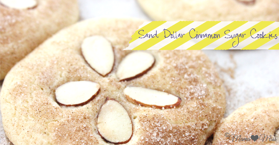 bake: Sand Dollar Cinnamon Sugar Cookies