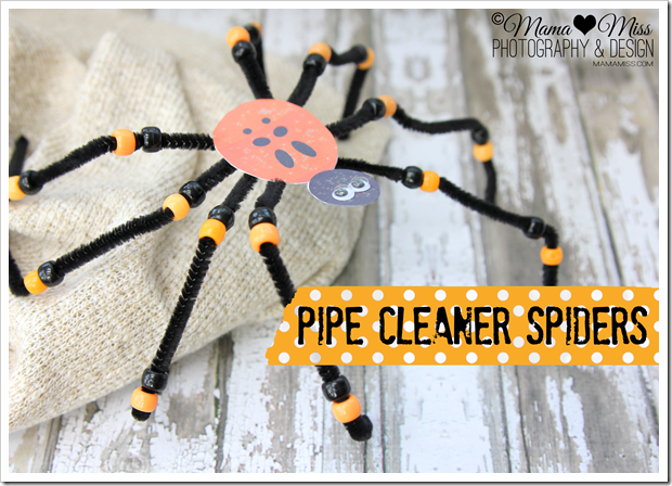 Easy Pipe Cleaner Spider Craft