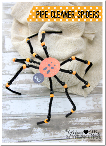 How to Make a Craft Spider: Pipe Cleaner Tarantulas