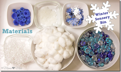 Easy Winter Sensory Bin  Winter activities for toddlers, Winter preschool, Winter  sensory bin