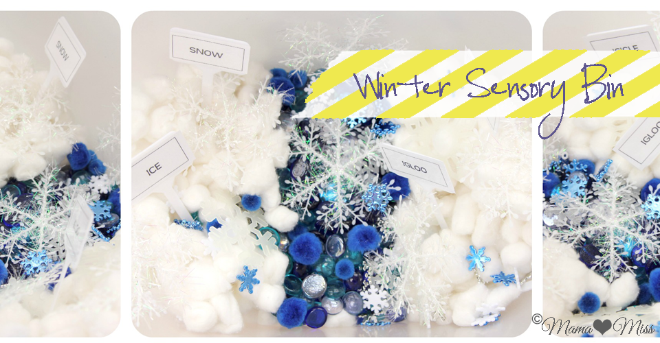 Winter Themed Sensory Bins - Making Time for Mommy