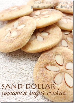 Sand Dollar Cinnamon Sugar Cookies https://www.mamamiss.com ©2013