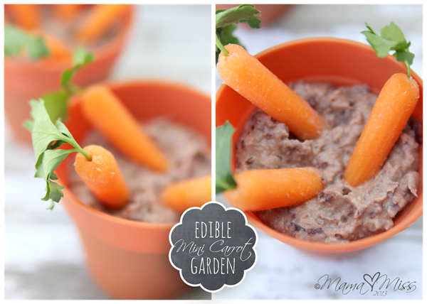 Edible Mini Carrot Garden https://www.mamamiss.com ©2013