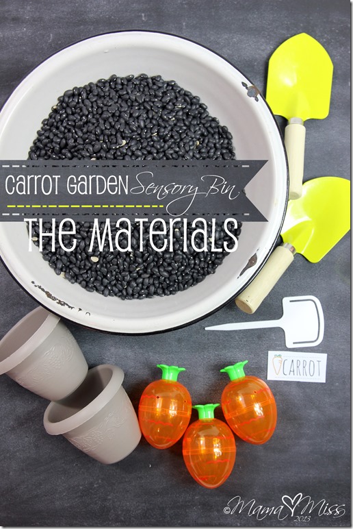 Carrot Garden Sensory Bin https://www.mamamiss.com ©2013