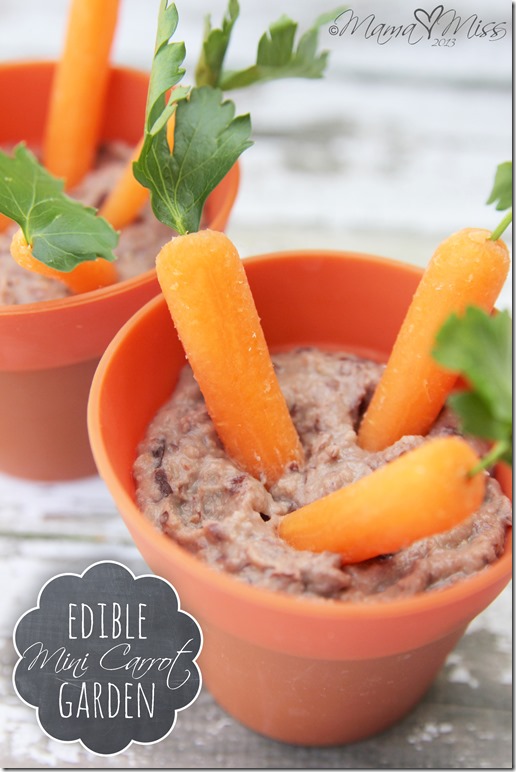 Edible Mini Carrot Garden https://www.mamamiss.com ©2013