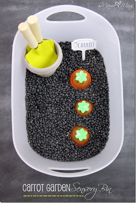 Carrot Garden Sensory Bin https://www.mamamiss.com ©2013