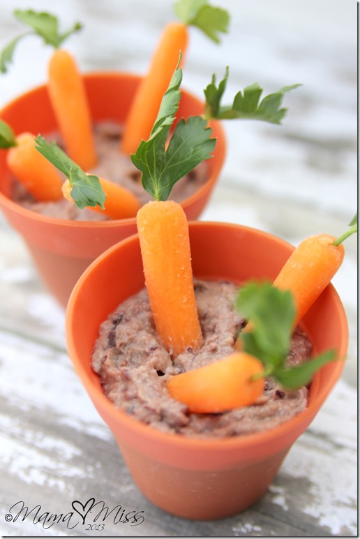 Edible Mini Carrot Garden https://www.mamamiss.com ©2013