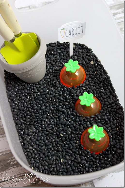 Carrot Garden Sensory Bin https://www.mamamiss.com ©2013