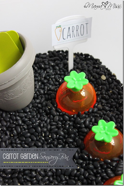 Carrot Garden Sensory Bin https://www.mamamiss.com ©2013