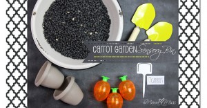 Carrot Garden Sensory Bin #sensory #carrot # spring https://www.mamamiss.com ©2013