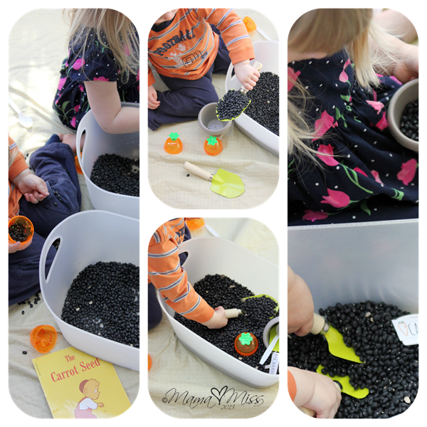 Carrot Garden Sensory Bin https://www.mamamiss.com ©2013