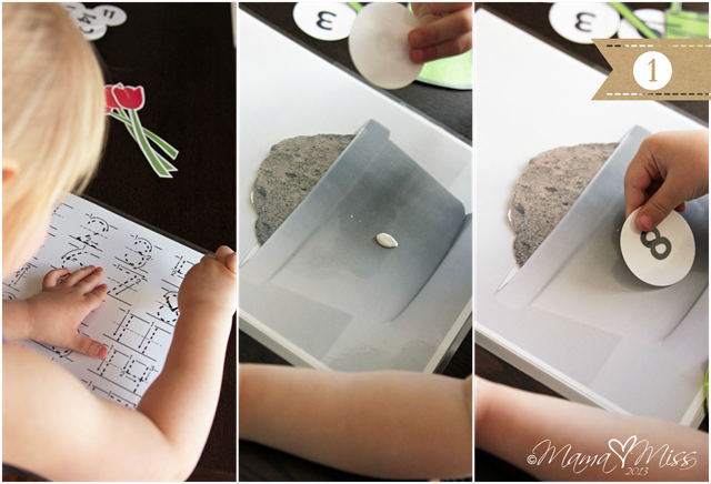 Pretend Play Inspired By Tulips #freeprintable #pretendplay #tulips https://www.mamamiss.com ©2013