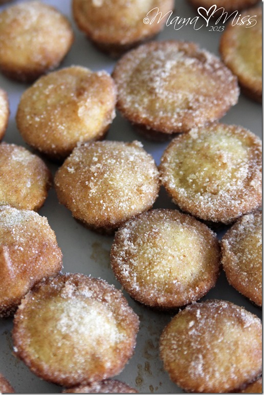 Cinnamon Sugar Mini Doughnut Hole Muffins @mamamissblog #glutenfree #eggfree