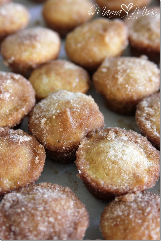 Cinnamon Sugar Mini Doughnut Hole Muffins @mamamissblog #glutenfree #eggfree