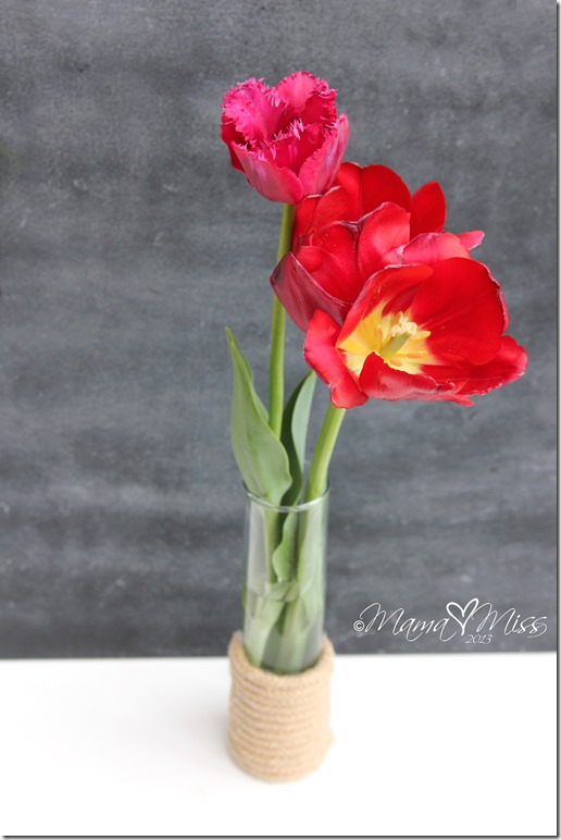 Inspired by...Nate Berkus Sisal Rope Glass Vase Tutorial @mamamissblog #rope #vase #inspiredby