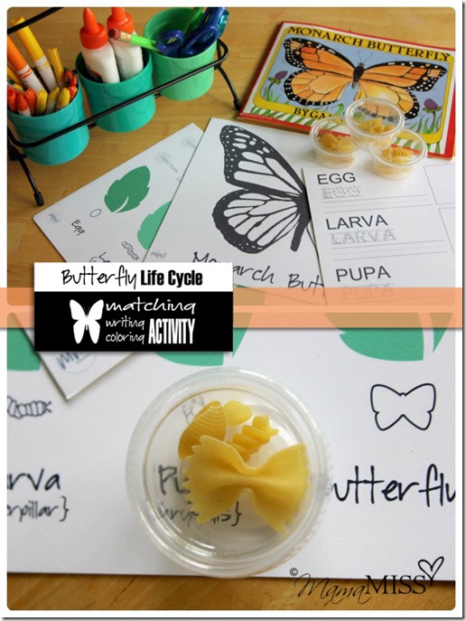 Butterfly Life Cycle Activities | Mama Miss #monarch #kidcrafts #butterfly #homeschool #preschool