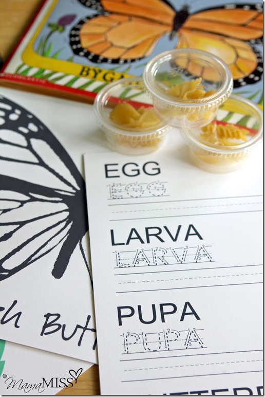 Butterfly Life Cycle Activities | Mama Miss #monarch #kidcrafts #butterfly #homeschool #preschool