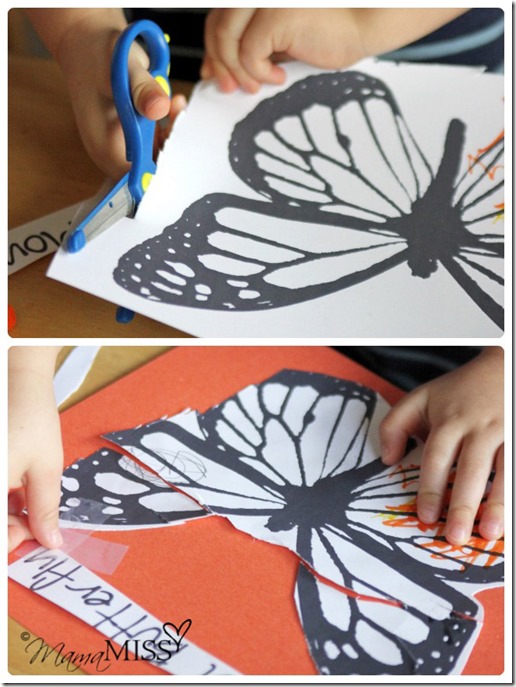 Butterfly Life Cycle Activities | Mama Miss #monarch #kidcrafts #butterfly #homeschool #preschool