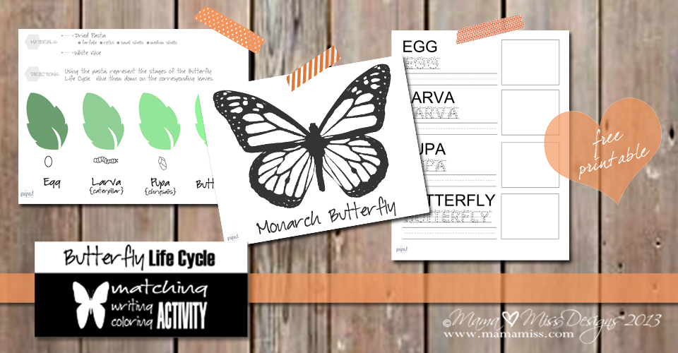 Butterfly Life Cycle Activities | Mama Miss #monarch #kidcrafts #butterfly #homeschool #preschool