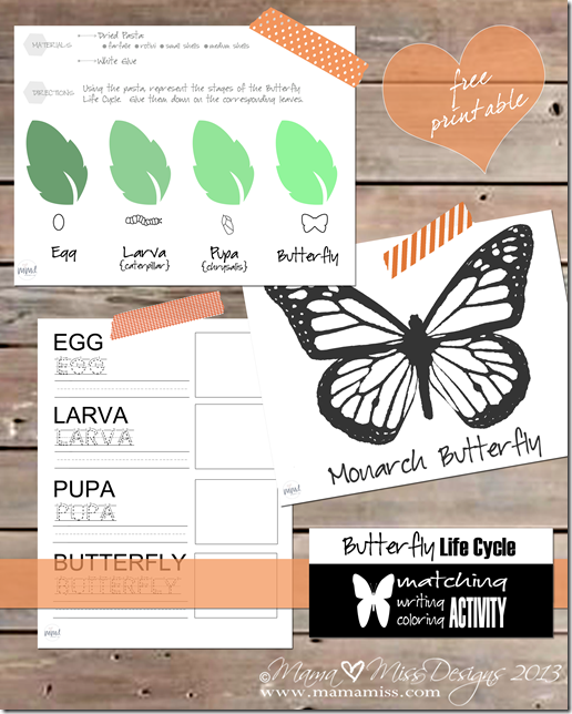 Butterfly Life Cycle Activities | Mama Miss #monarch #kidcrafts #butterfly #homeschool #preschool