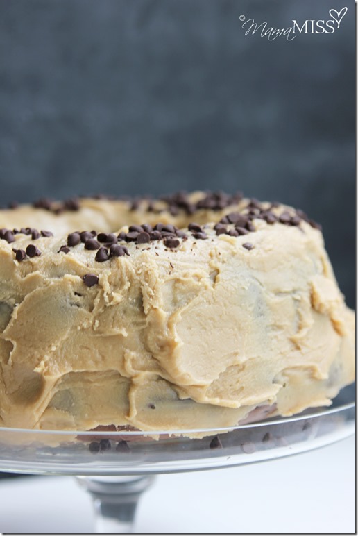 Double Chocolate Chip Cake with Penuche Frosting | Mama Miss #chocolatecake #dessert #yum #birthdaycake