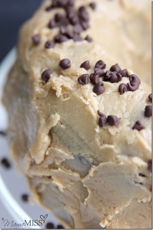 Double Chocolate Chip Cake with Penuche Frosting | Mama Miss #chocolatecake #dessert #yum #birthdaycake