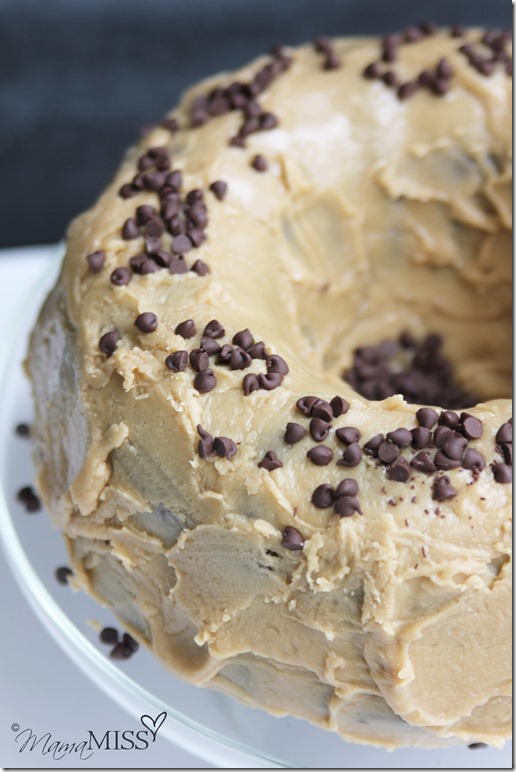 Double Chocolate Chip Cake with Penuche Frosting | Mama Miss #chocolatecake #dessert #yum #birthdaycake