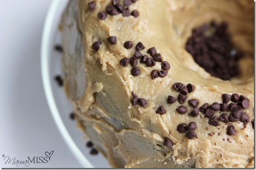 Double Chocolate Chip Cake with Penuche Frosting | Mama Miss #chocolatecake #dessert #yum #birthdaycake