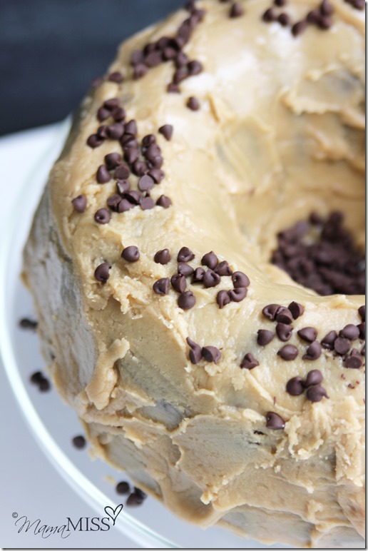 Double Chocolate Chip Cake with Penuche Frosting | Mama Miss #chocolatecake #dessert #yum #birthdaycake