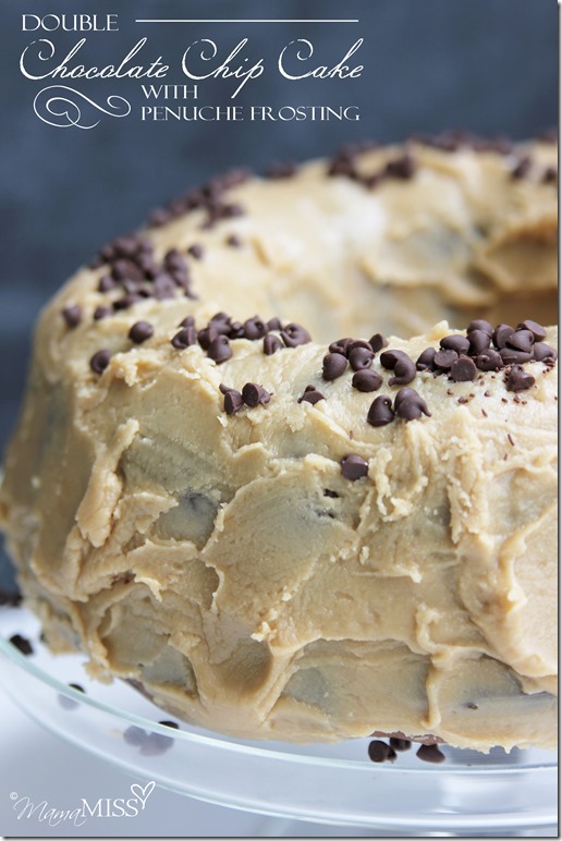 Double Chocolate Chip Cake with Penuche Frosting | Mama Miss #chocolatecake #dessert #yum #birthdaycake