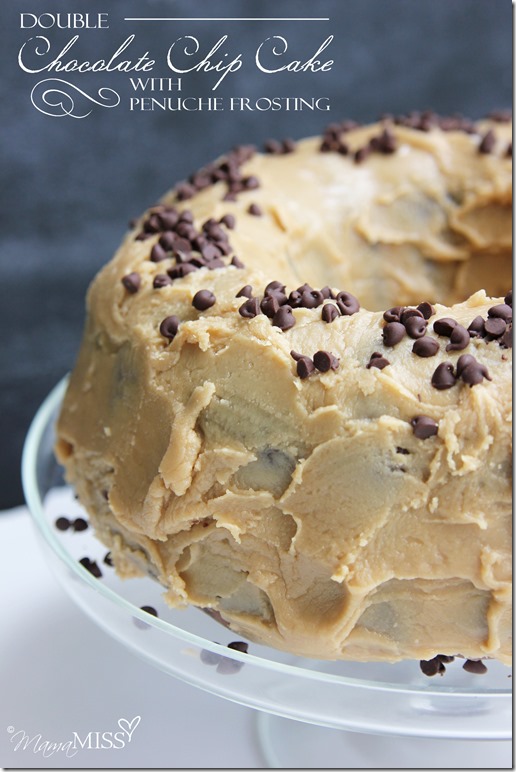 Double Chocolate Chip Cake with Penuche Frosting | Mama Miss #chocolatecake #dessert #yum #birthdaycake