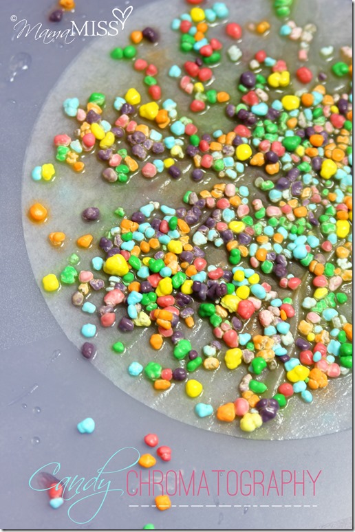 Candy Chromatography | Mama Miss #kidscience #nerdscandy #funexperiments