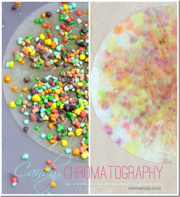 Candy Chromatography | Mama Miss #kidscience #nerdscandy #funexperiments