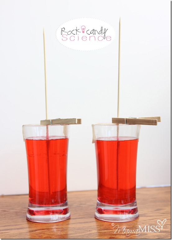 Rock Candy Science | Mama Miss #kidscience #homeschool #funexperiment