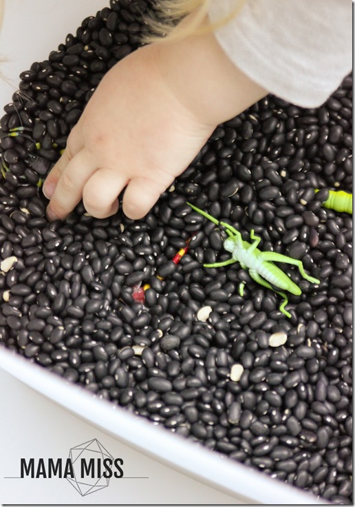 Bug Hunt Sensory Bin | @mamamissblog #bugs #sensorybin #homeschool