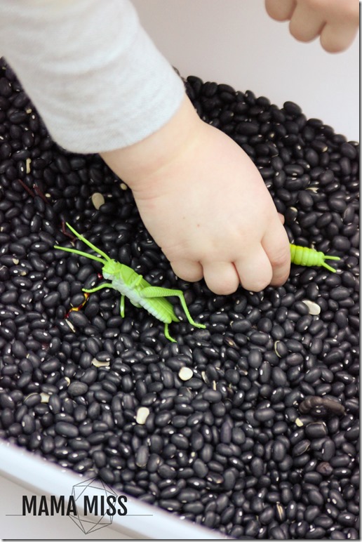 Bug Hunt Sensory Bin | @mamamissblog #bugs #sensorybin #homeschool