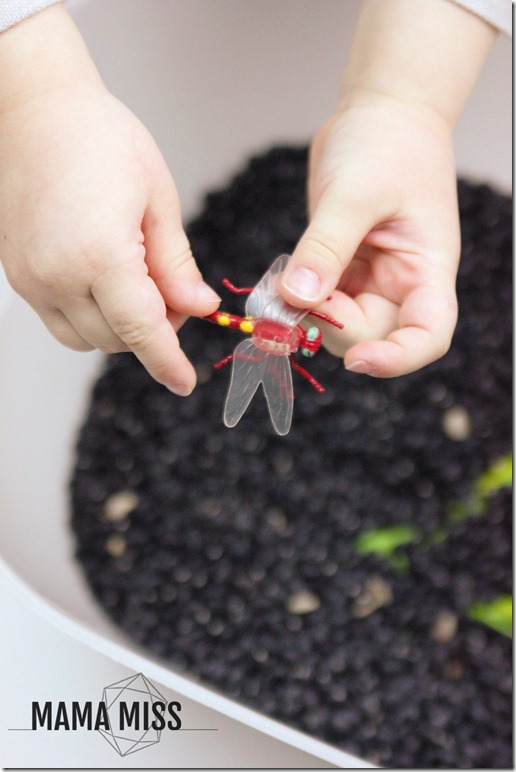 Bug Hunt Sensory Bin | @mamamissblog #bugs #sensorybin #homeschool