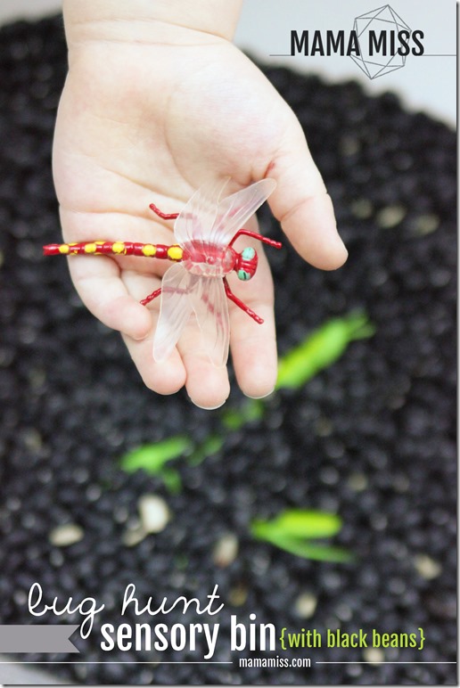 Bug Hunt Sensory Bin | @mamamissblog #bugs #sensorybin #homeschool