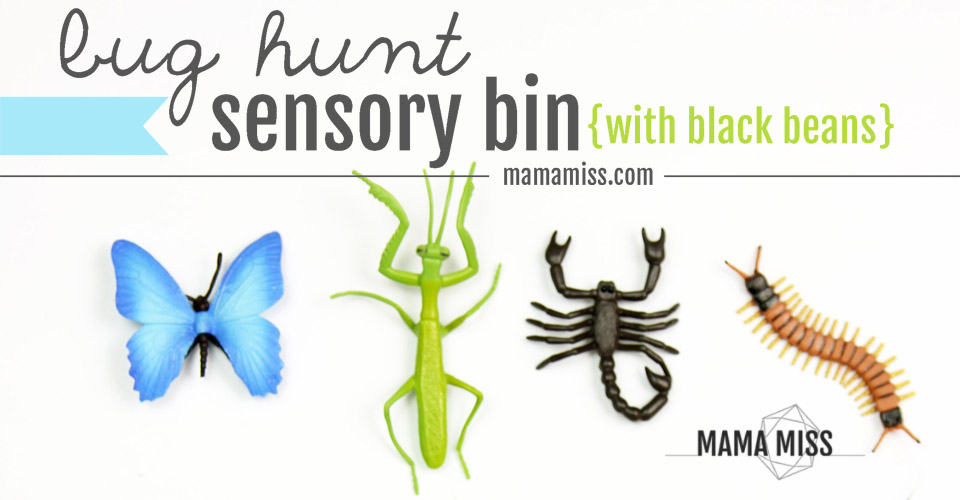 Bug Hunt Sensory Bin | @mamamissblog #bugs #sensorybin #homeschool