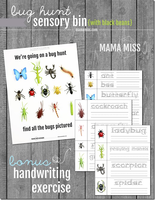 Bug Hunt Sensory Bin | @mamamissblog #bugs #sensorybin #homeschool