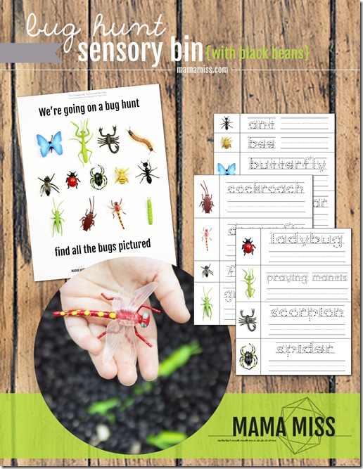 Bug Hunt Sensory Bin | @mamamissblog #bugs #sensorybin #homeschool
