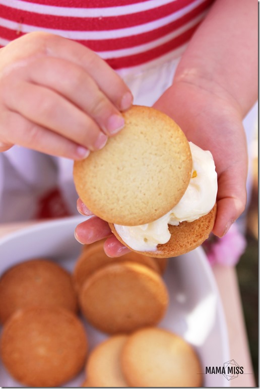 Ice Cream Sandwich Bar | @mamamissblog #icecream #bar #letterI  #kidparty