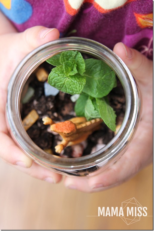 Dino Terrarium Jars | @mamamissblog #PartyInAJar #dinoparty #kidparty #masonjarcrafts