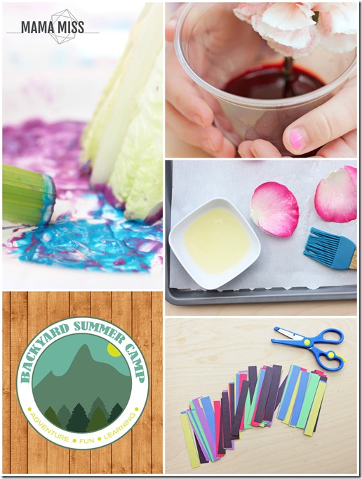 Backyard Summer Camp eBook | @mamamissblog #summercamp #adventure #camp