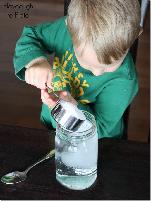How to Grow Crystals in a Jar | @Playdough2Plato on @mamamissblog  #kidscience #preschoolscience