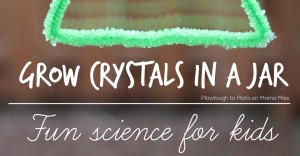 How to Grow Crystals in a Jar | @Playdough2Plato on @mamamissblog #kidscience #preschoolscience