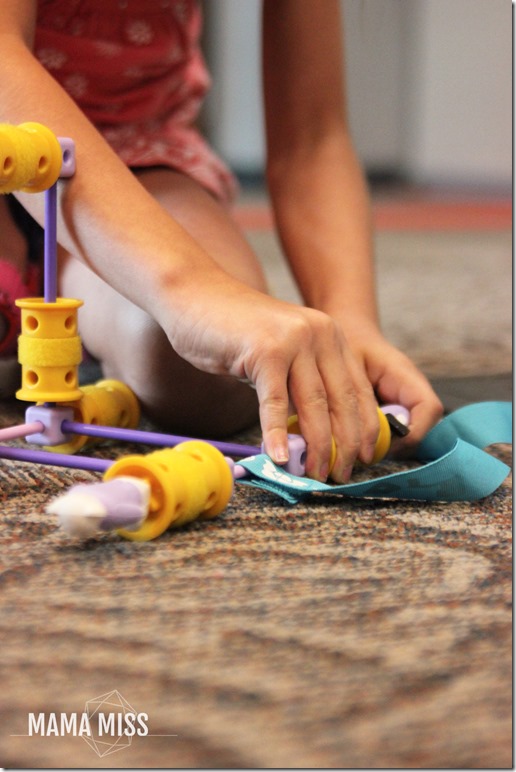 GoldieBlox Bash!  My pink aisle disruption. | @mamamissblog #STEM #girlengineers #LookatGoldie #GoldieBlox 